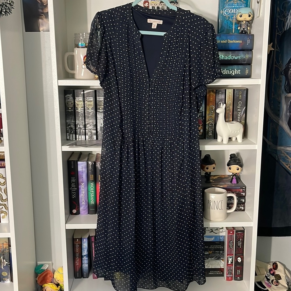 Dress Barn Dress